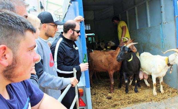 Una edición anterior de la feria ganadera.