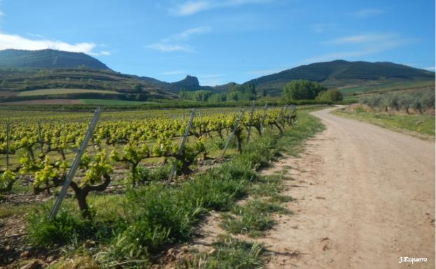 Imagen principal - Camino de subida a Clavijo, pradera en el Corro del Cura y senda de La Leñosa