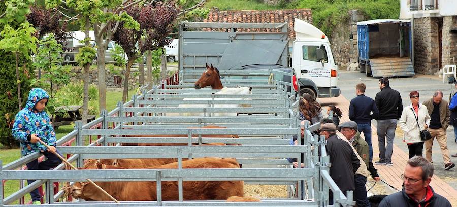 Las mejores vacas, ovejas y cabras del Camero Viejo