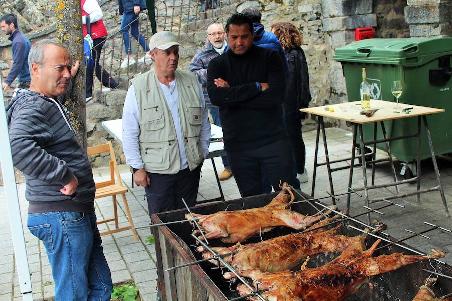 Las mejores vacas, ovejas y cabras del Camero Viejo