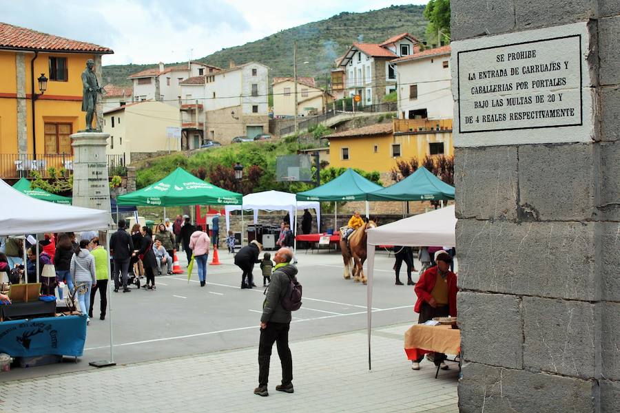 Las mejores vacas, ovejas y cabras del Camero Viejo