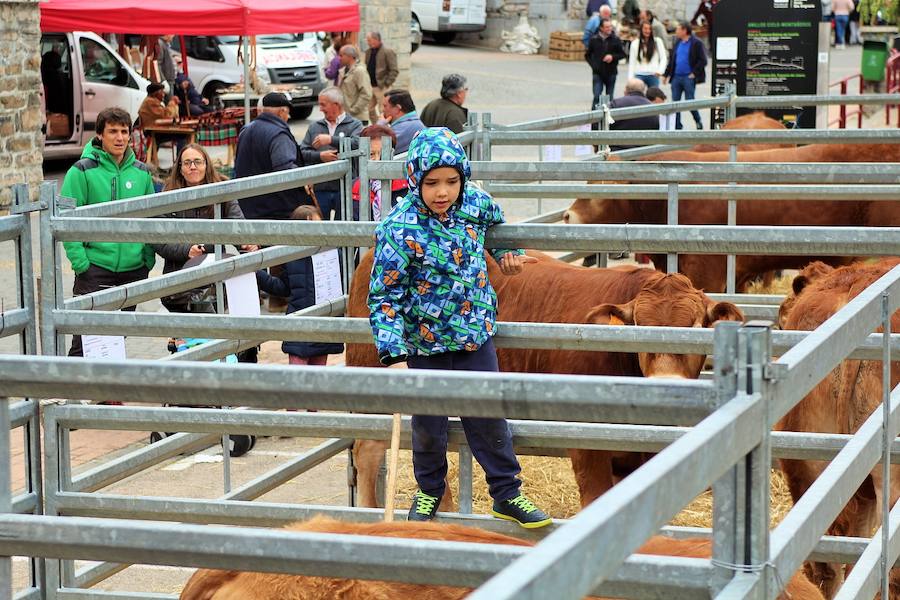 Las mejores vacas, ovejas y cabras del Camero Viejo