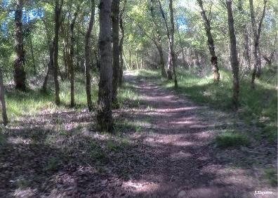 Imagen secundaria 1 - Vista de la peña y el castillo de Clavijo, sendero de la Vía Romana en Alberite y subida a Clavijo