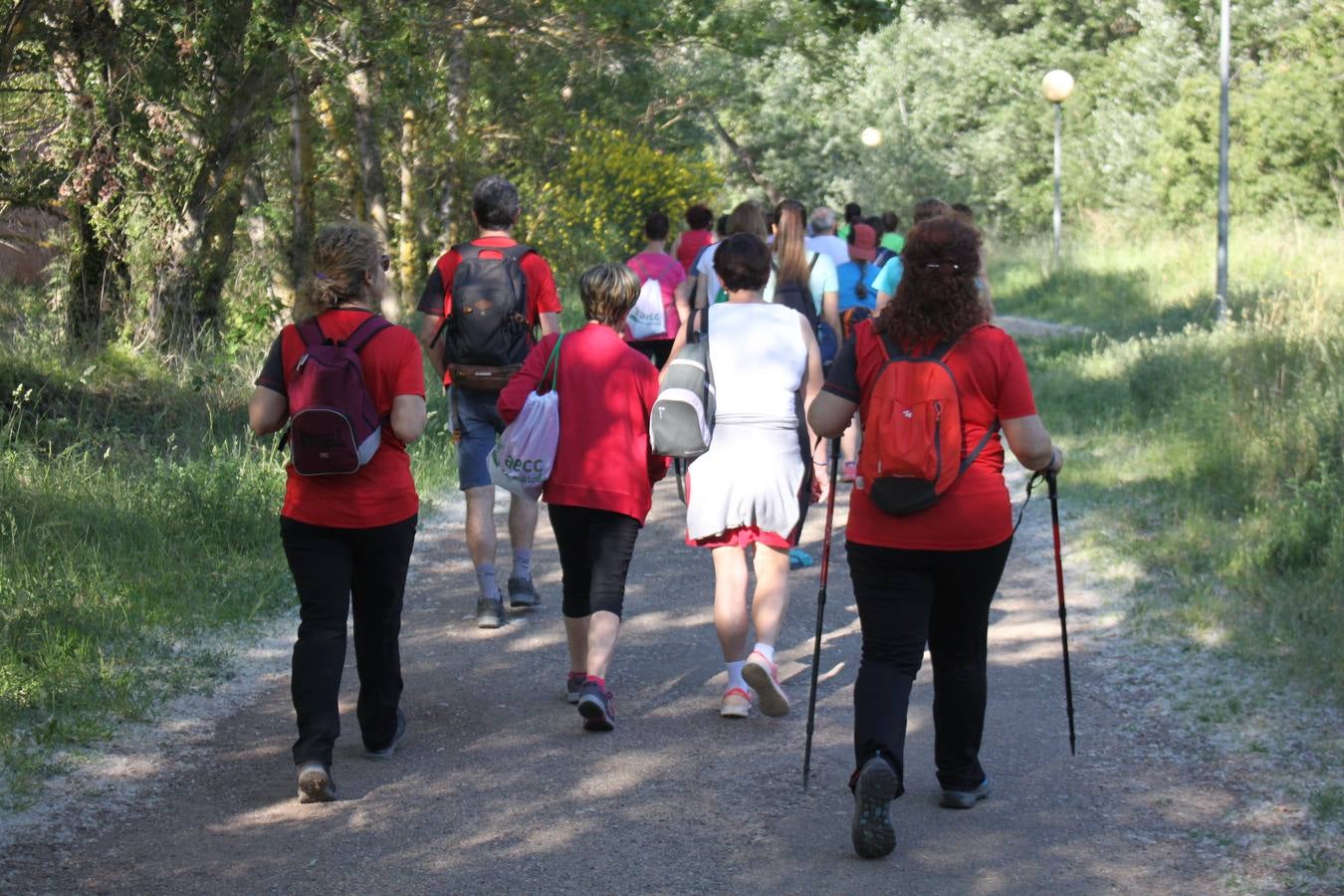 Fotos: Más de 120 personas participan en la XIV Marcha Arnedo-Arnedillo a favor de los proyectos de la AECC