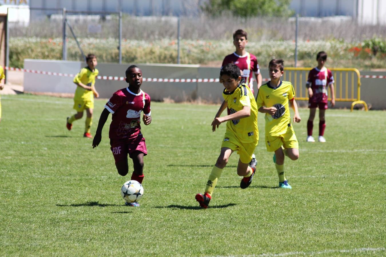 Fotos: Torneo de fútbol infantil de Nájera