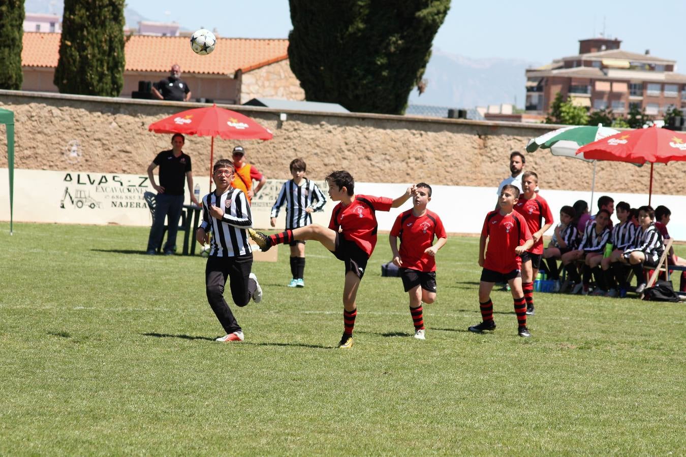 Fotos: Torneo de fútbol infantil de Nájera