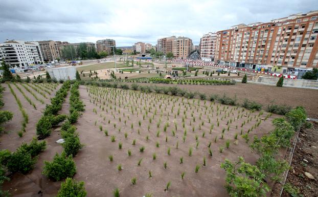 Panorámica del parque, este miércoles, donde se pueden ver las plantaciones realizadas.