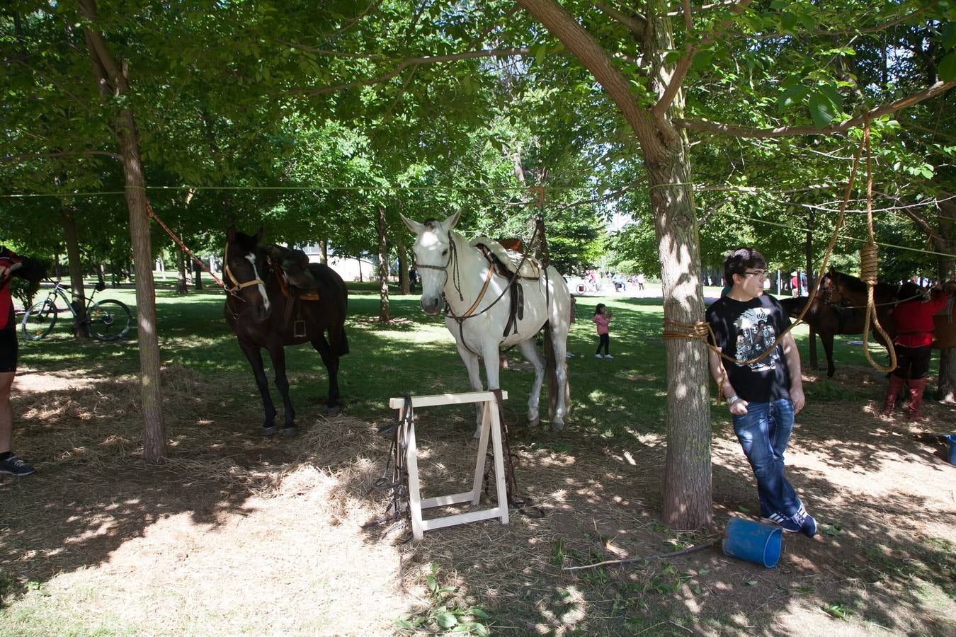 Fotos: Recreación del campamento francés en el parque del Ebro
