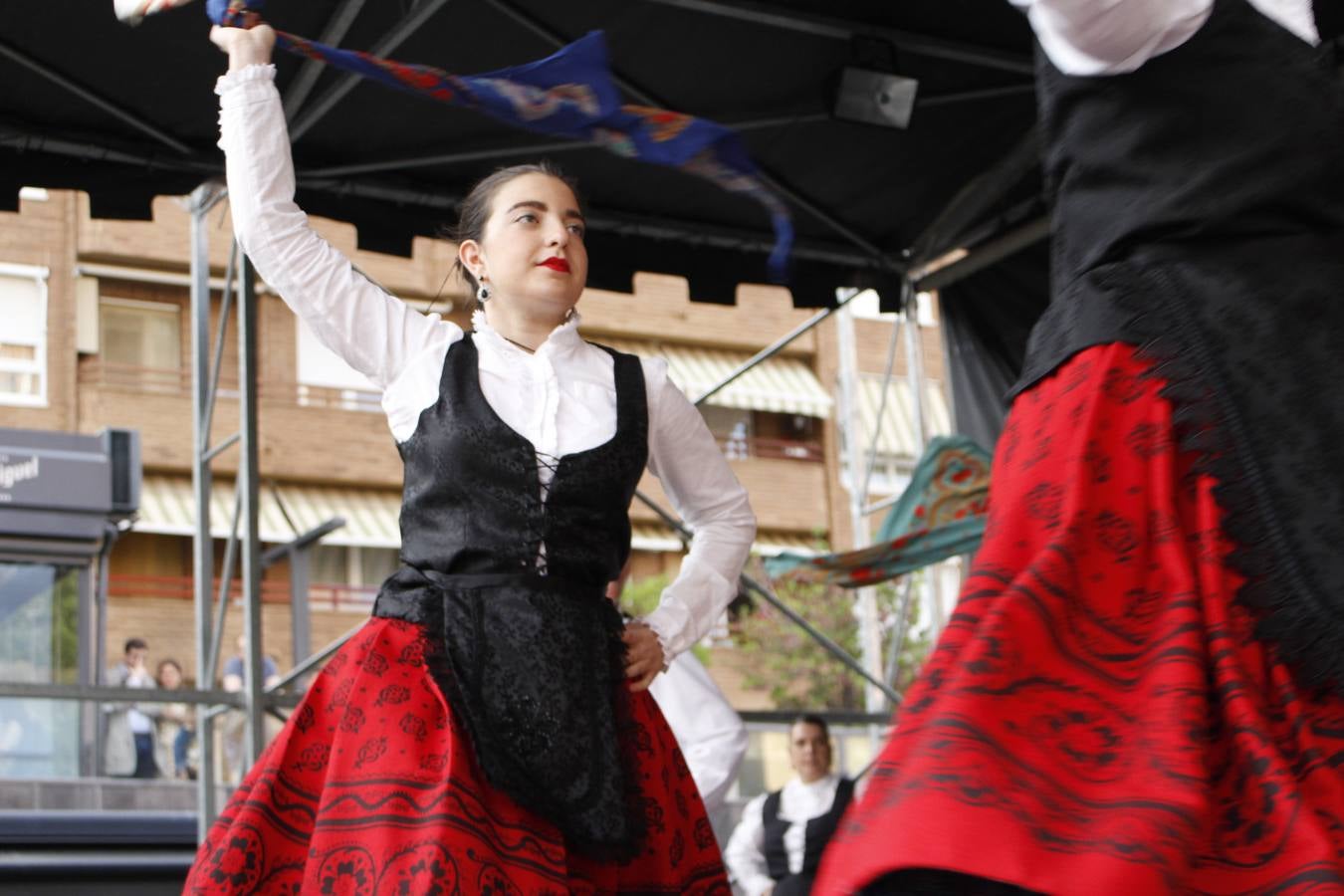 Fotos: Arnedo celebra el Día de La Rioja