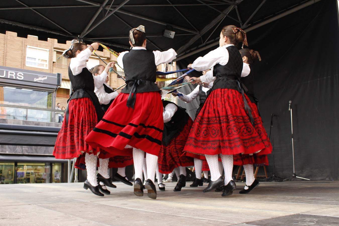 Fotos: Arnedo celebra el Día de La Rioja