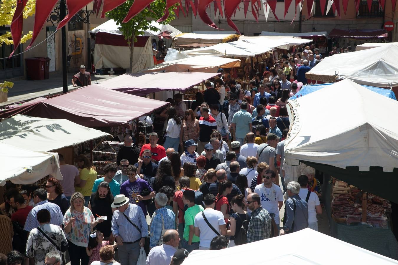 Fotos: Un domingo muy festivo en Logroño