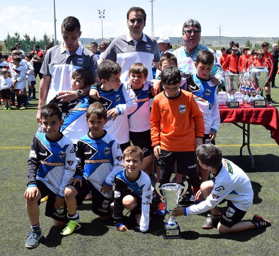 Fotos: Torneo de fútbol alevín del Valvanera