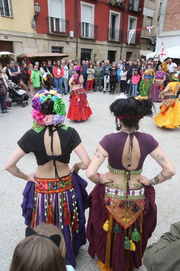 Fotos: Los franceses acampan a orillas del Ebro