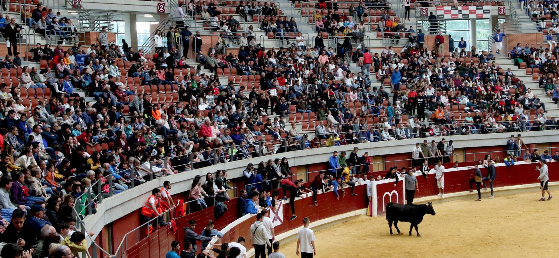 Más de 5.000 personas se dieron cita en el festejo taurino de La Ribera