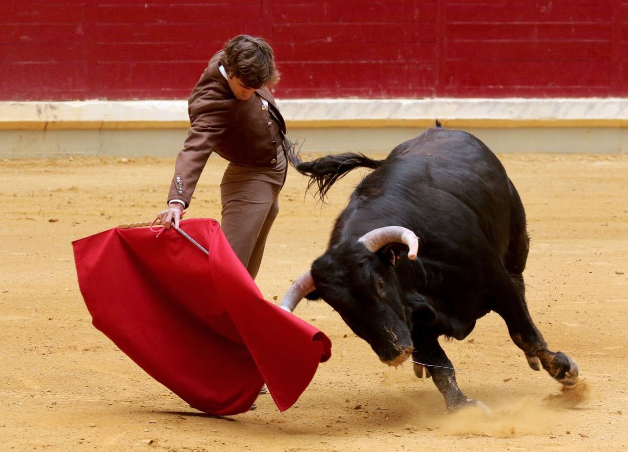 Más de 5.000 personas se dieron cita en el festejo taurino de La Ribera