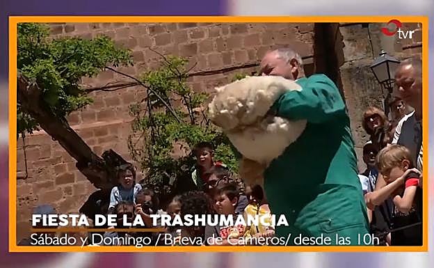 La agenda del fin de semana