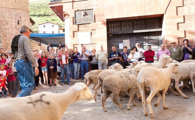 Una antigua edición de la Fiesta de la trashumancia en Brieva.