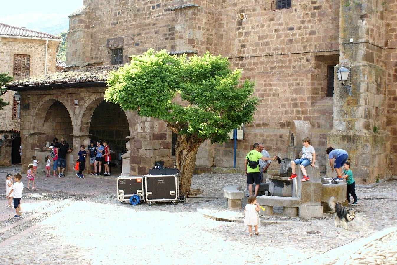 Los pastores han llegado de Extremadura con 500 ovejas