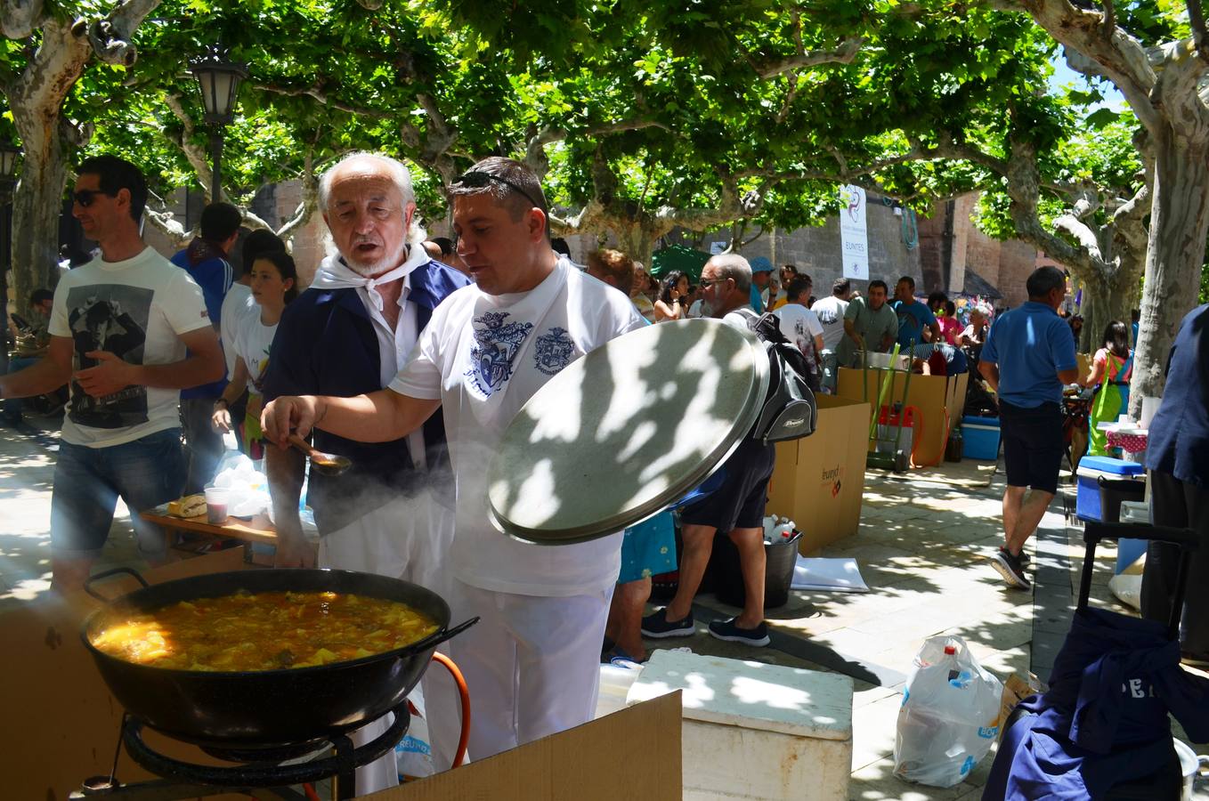 Fotos: Fuenmayor vive sus fiestas de San Juan