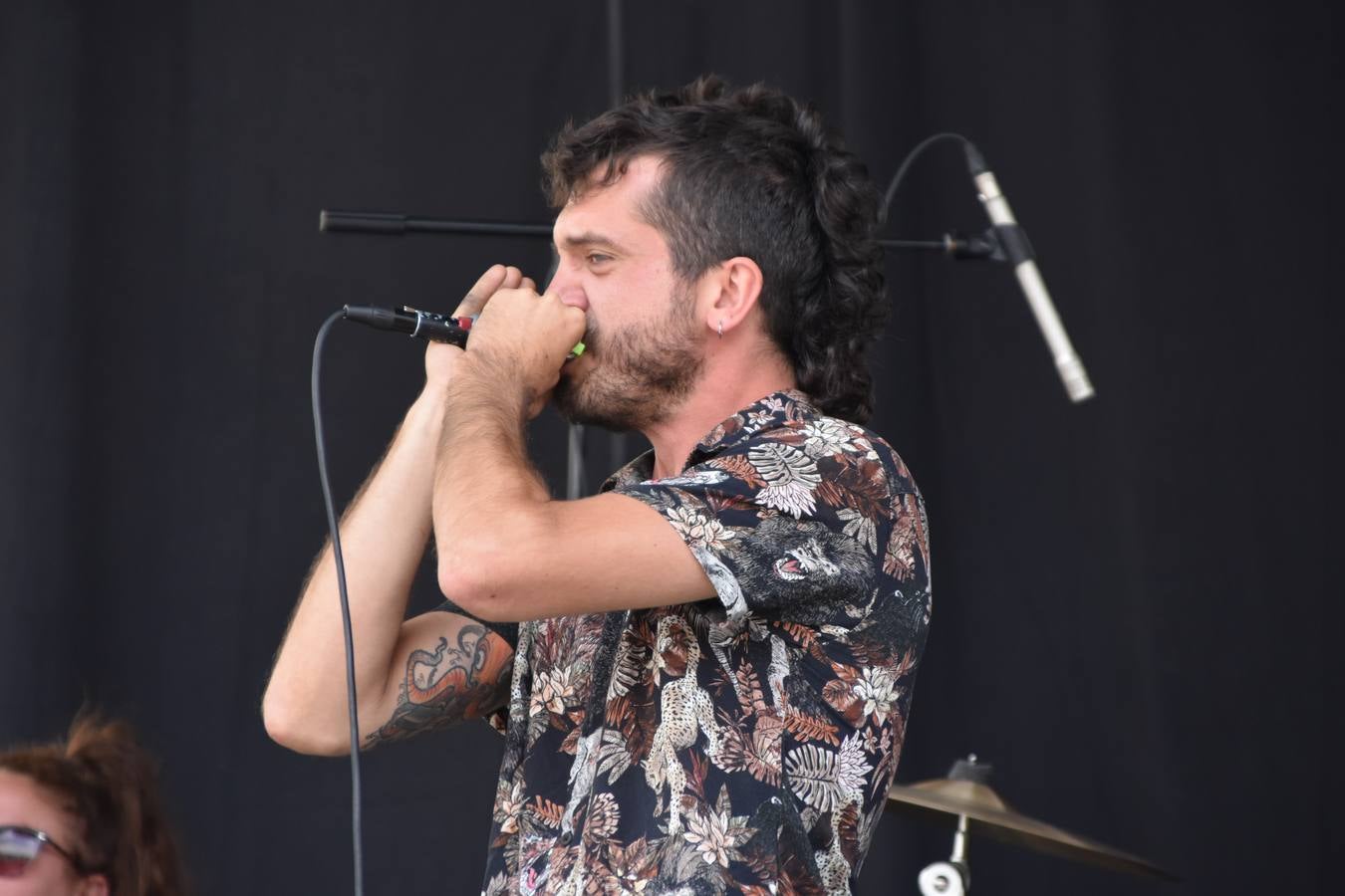 El festival de arte cierra sus puertas en Enciso