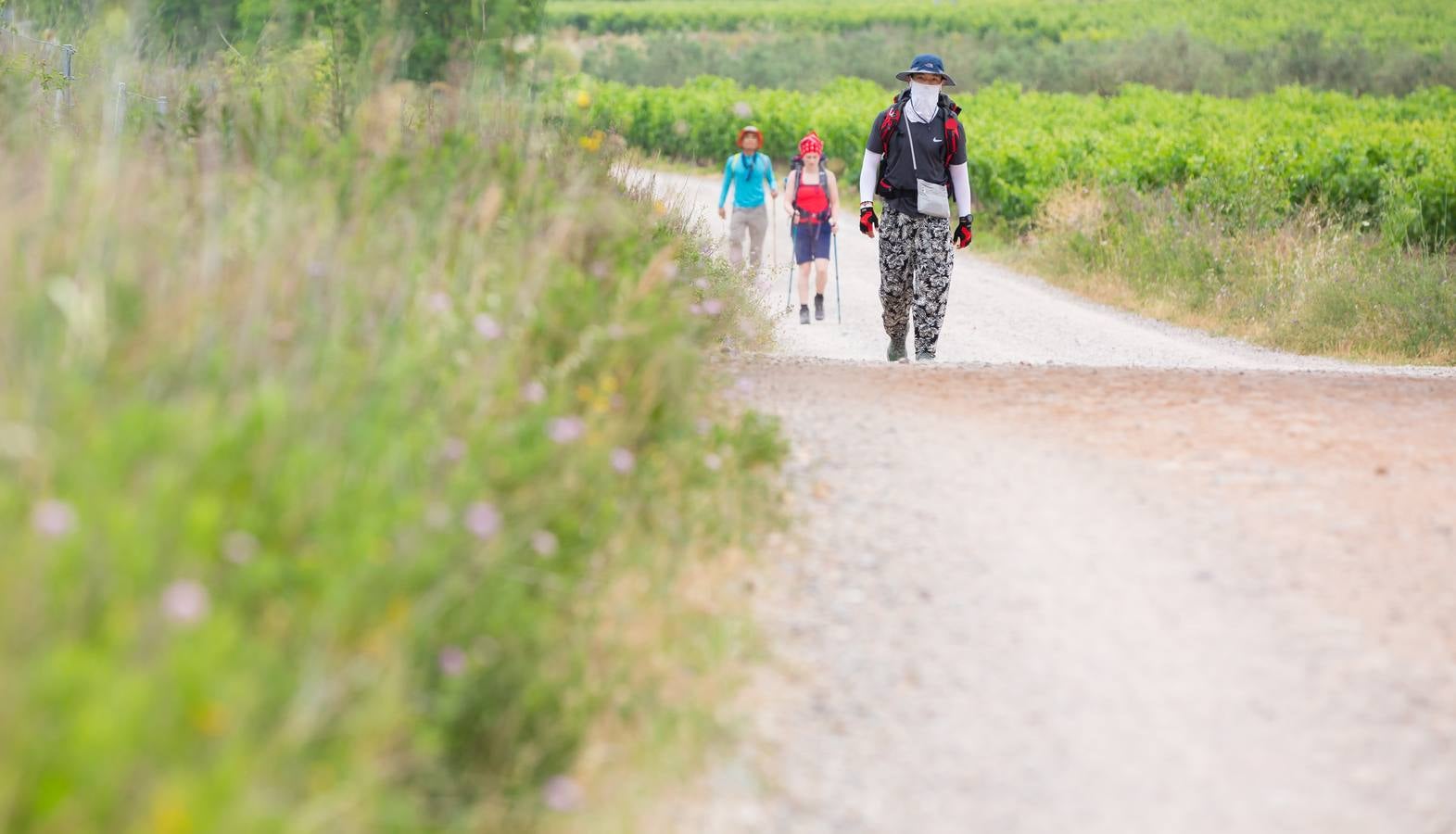 Fotos: Al sofocante calor del Camino