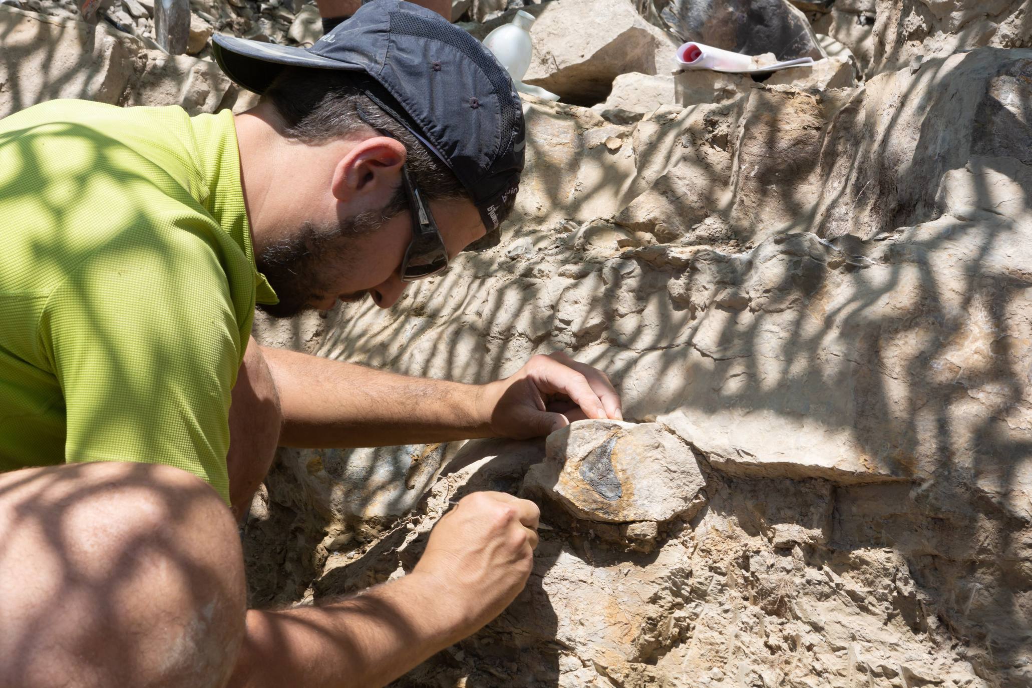 Fotos: Un equipo multidisciplinar trabaja en el yacimiento &#039;Goliat&#039; en Igea