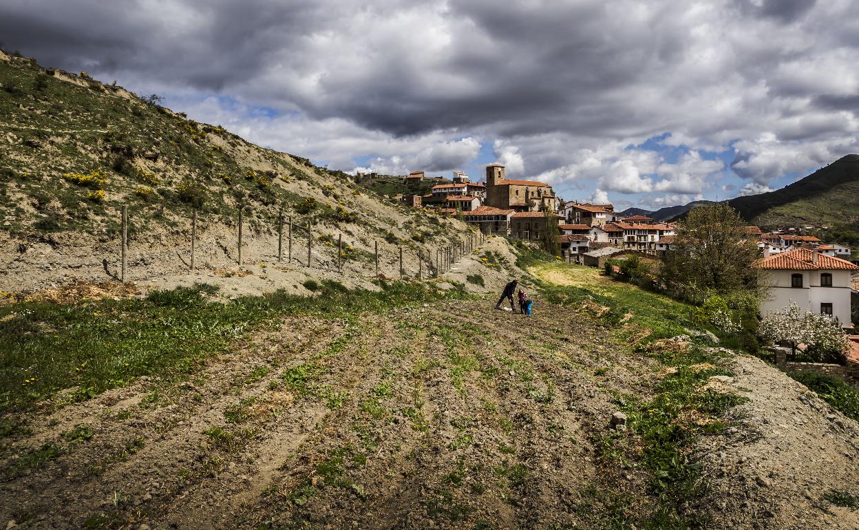 Dos inmuebles y la escuela de San Román centran el certamen de arte mural