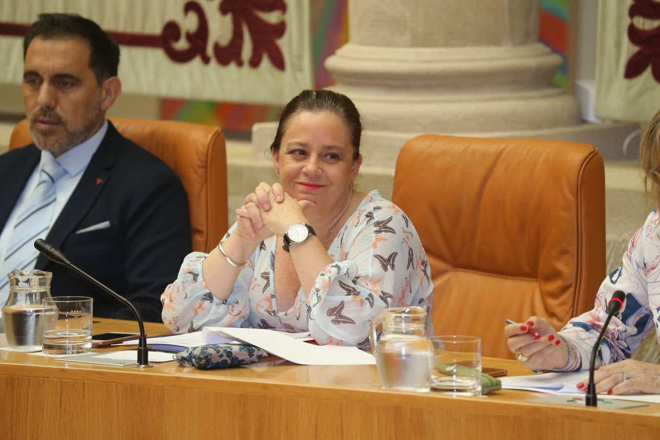 Fotos: La elección de Raúl Díaz como senador autonómico