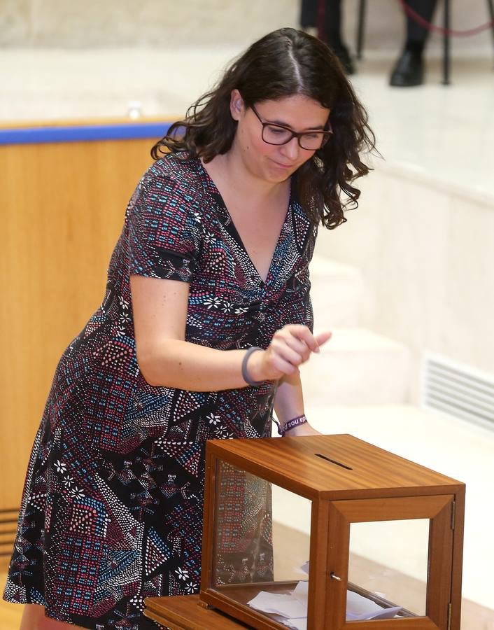 Fotos: La elección de Raúl Díaz como senador autonómico