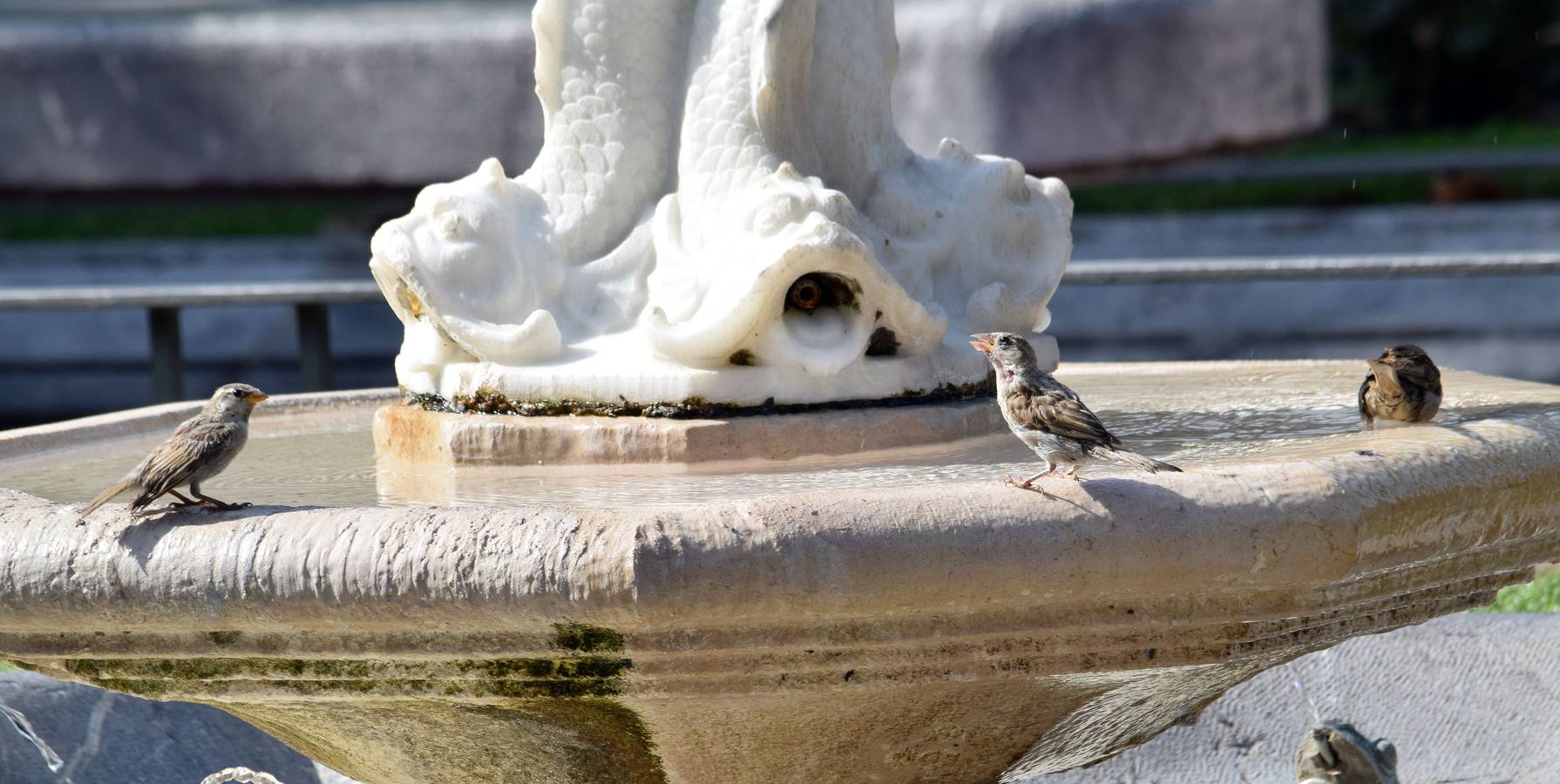 Fotos: Arranca la ola de calor