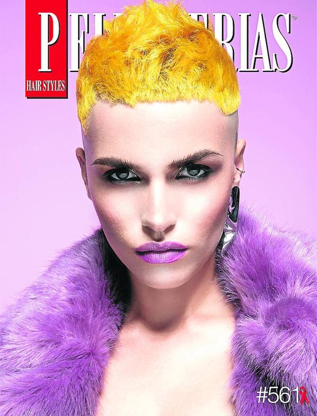 Portada ganadora de 'Peluquerías Hair Styles'. 