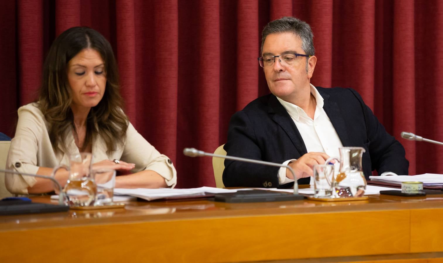 Fotos: Los gestos, los saludos las conversaciones en el Pleno del Ayuntamiento de Logroño