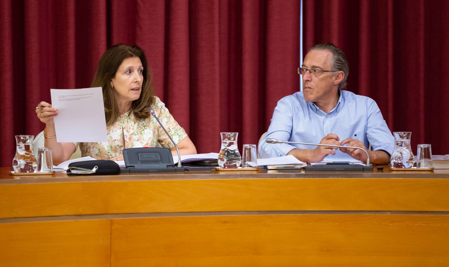 Fotos: Los gestos, los saludos las conversaciones en el Pleno del Ayuntamiento de Logroño