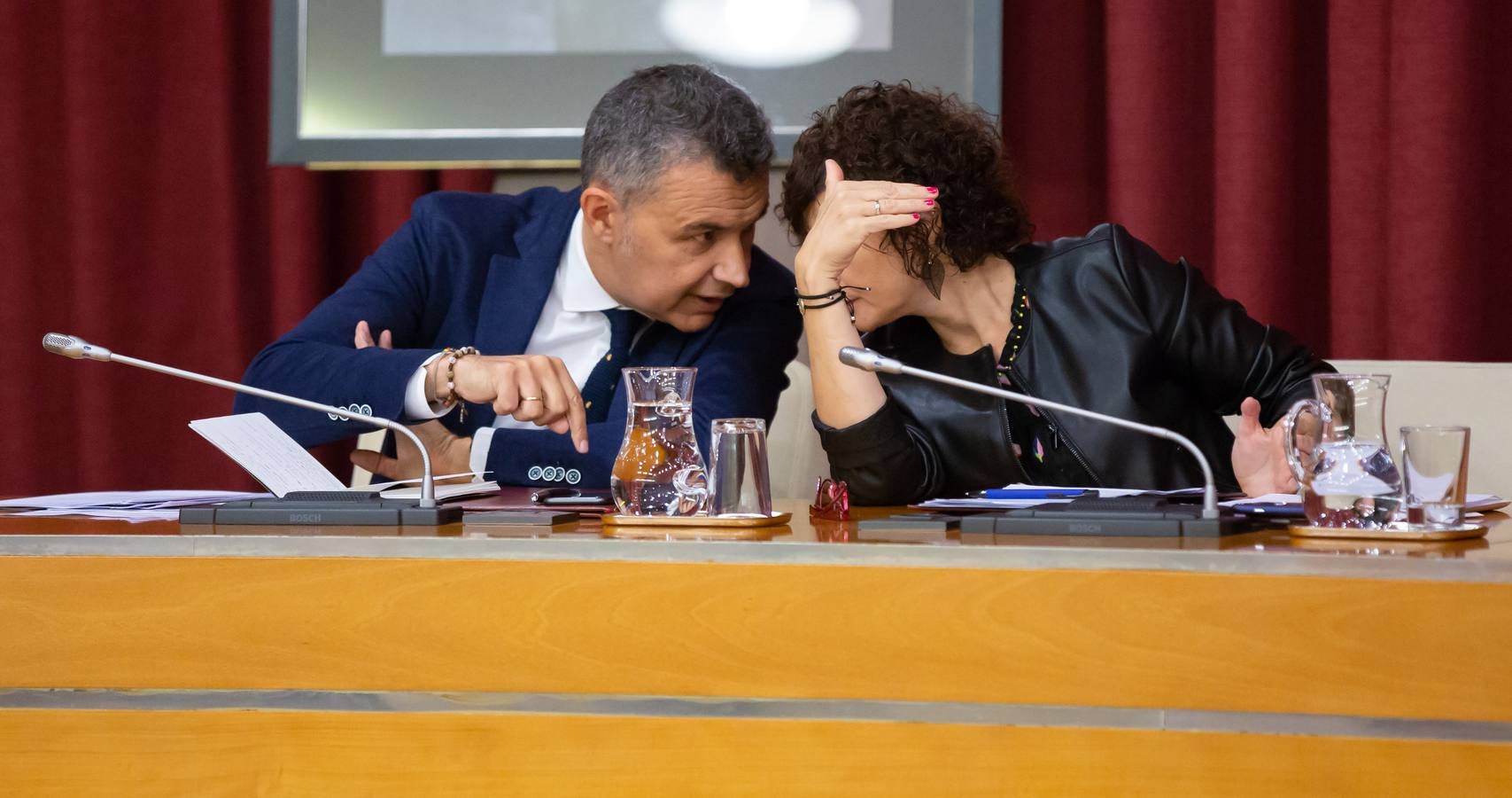 Fotos: Los gestos, los saludos las conversaciones en el Pleno del Ayuntamiento de Logroño