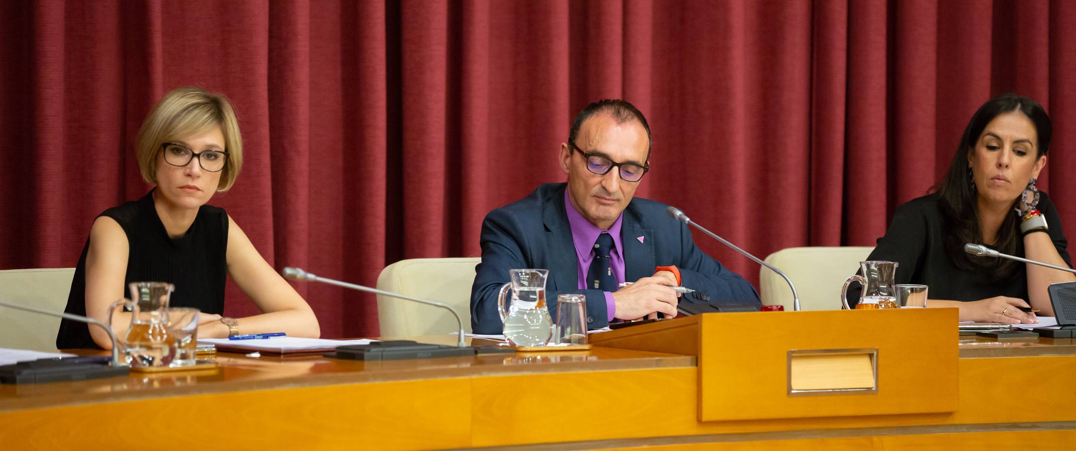 Fotos: Los gestos, los saludos las conversaciones en el Pleno del Ayuntamiento de Logroño