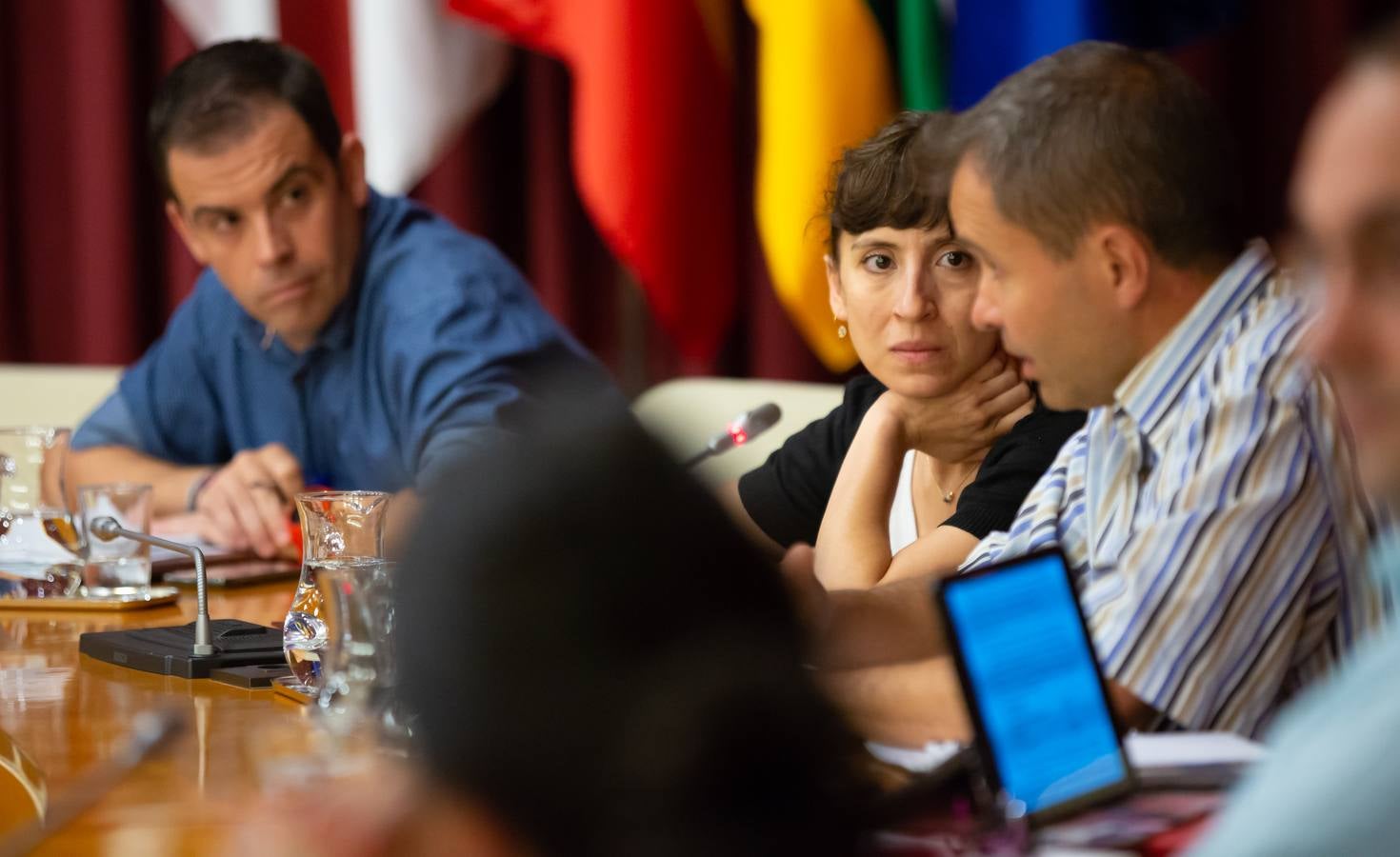 Fotos: Los gestos, los saludos las conversaciones en el Pleno del Ayuntamiento de Logroño