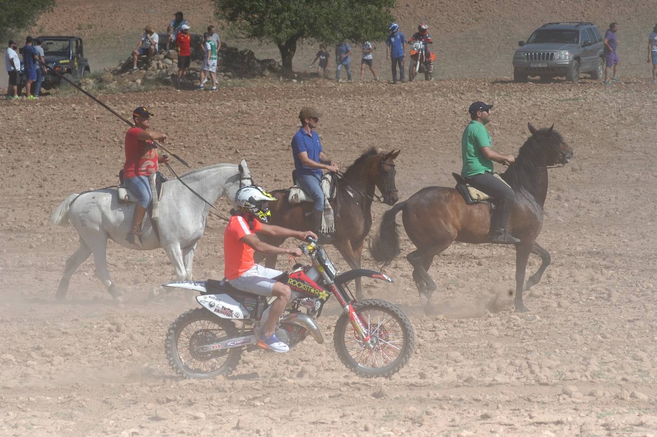 Fotos: La entrada de reses bravas de Valverde, en imágenes