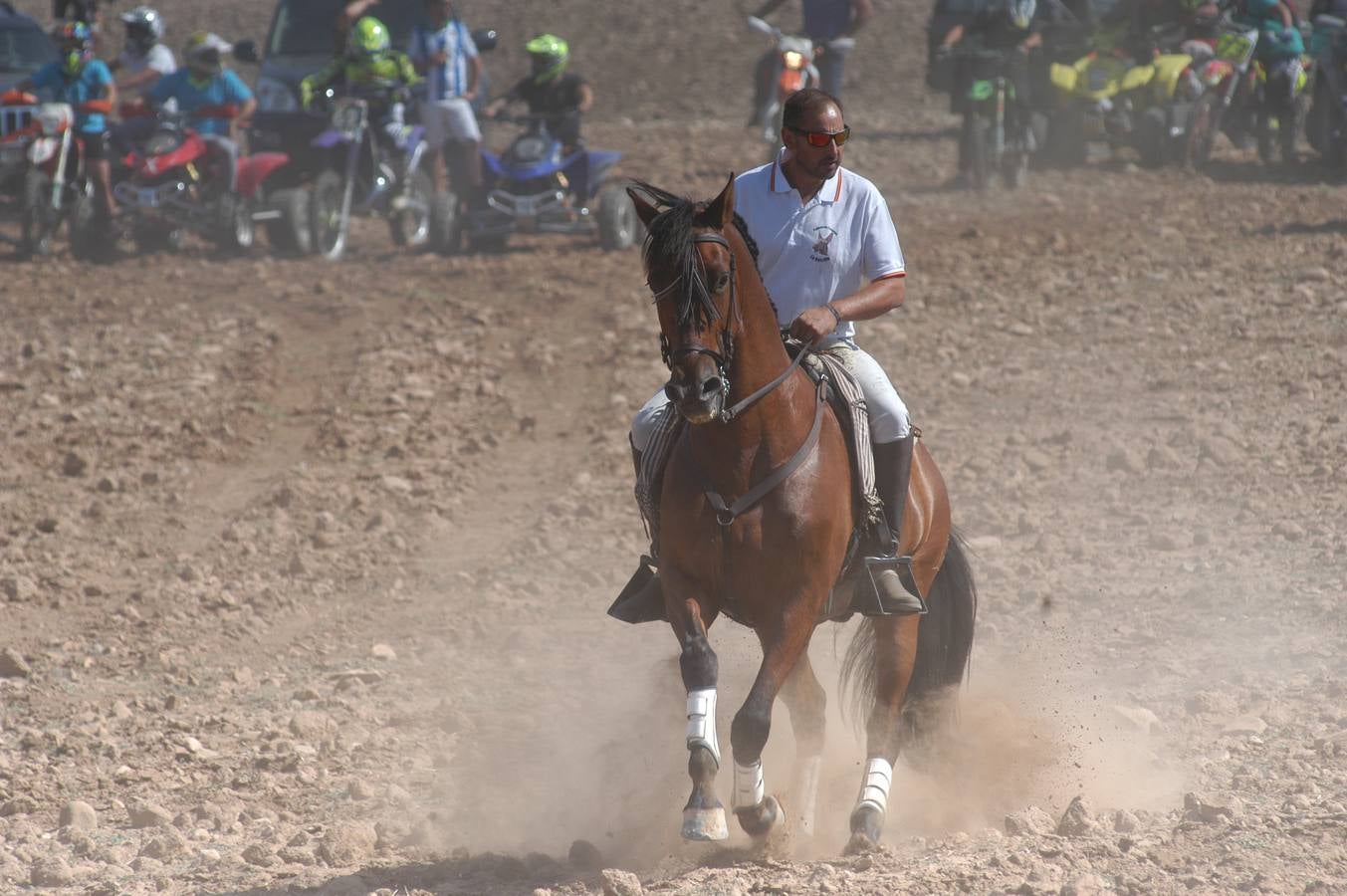 Fotos: La entrada de reses bravas de Valverde, en imágenes