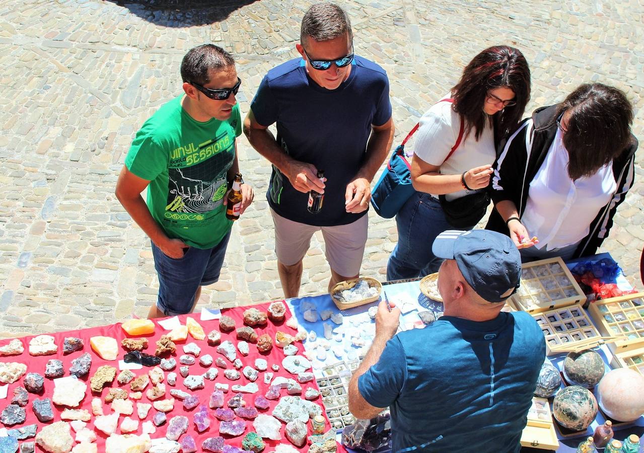 Fotos: San Román acoge el XXXI Día del Camero Viejo