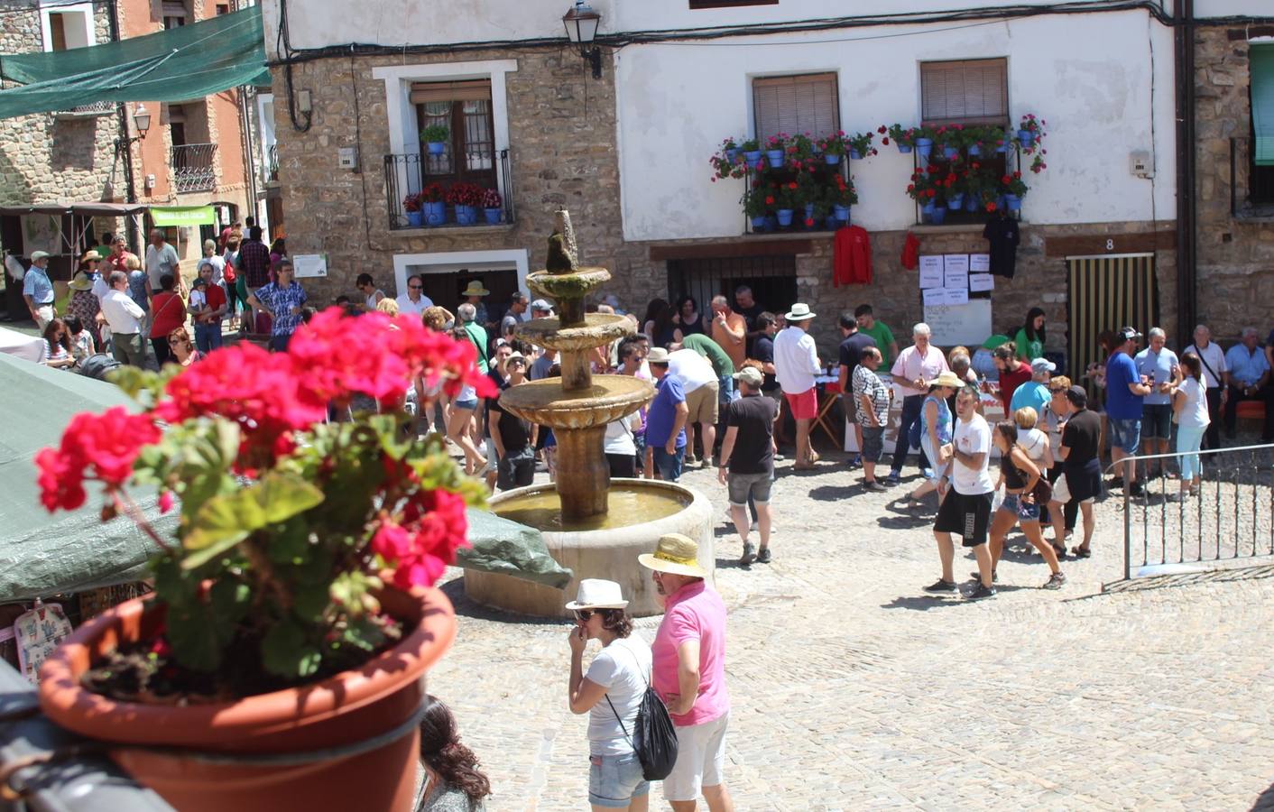 Fotos: San Román acoge el XXXI Día del Camero Viejo