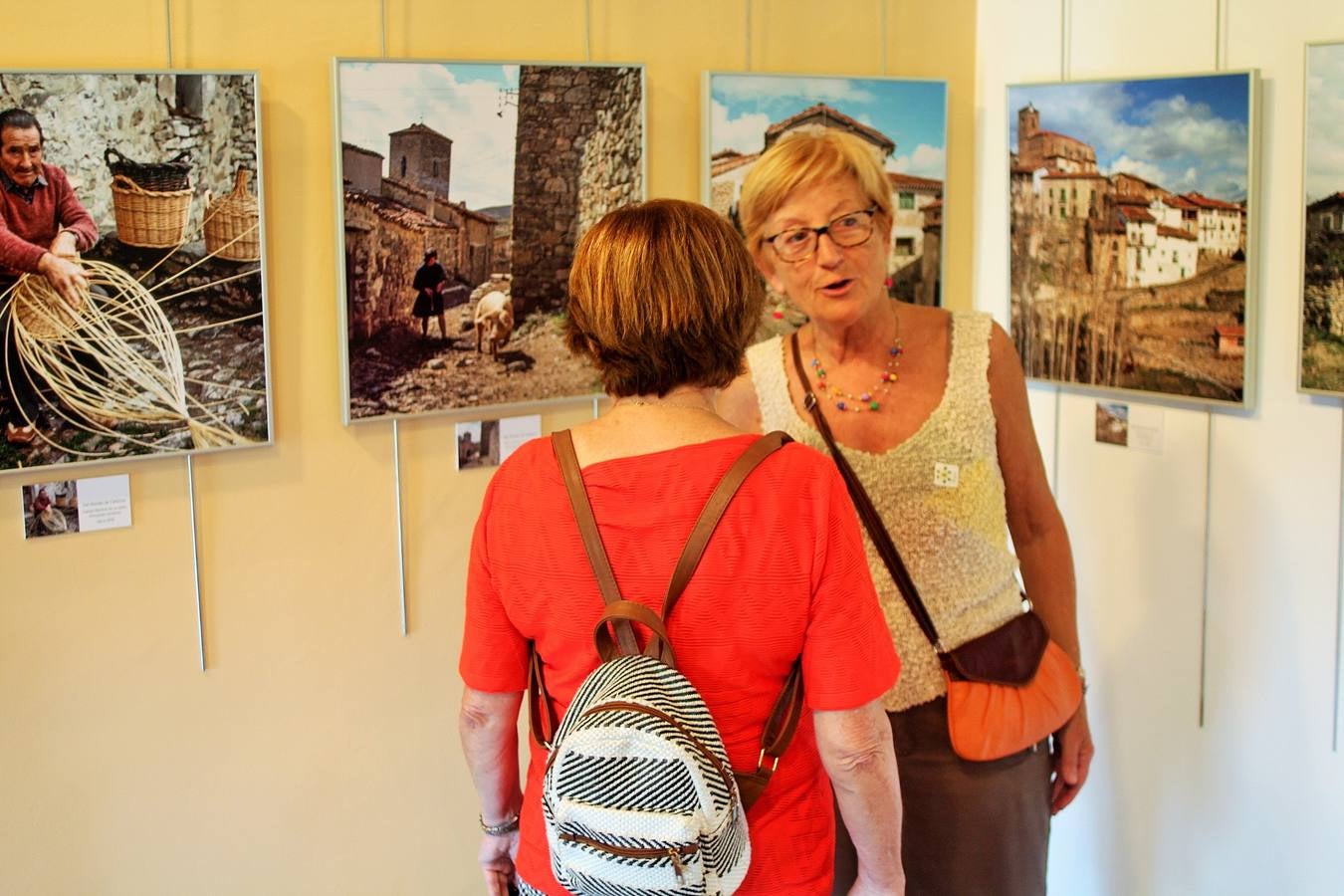 Fotos: San Román acoge el XXXI Día del Camero Viejo