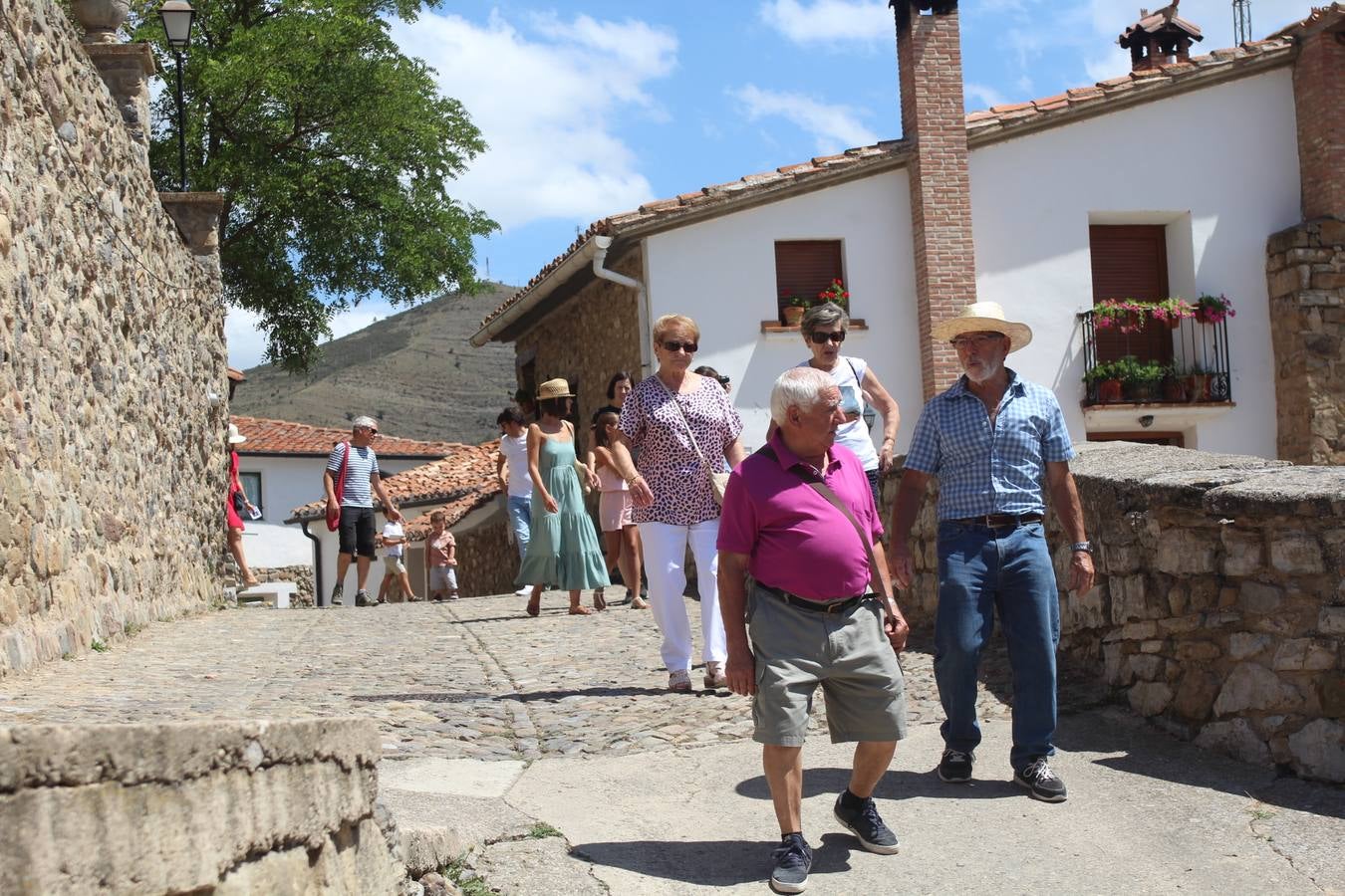 Fotos: San Román acoge el XXXI Día del Camero Viejo