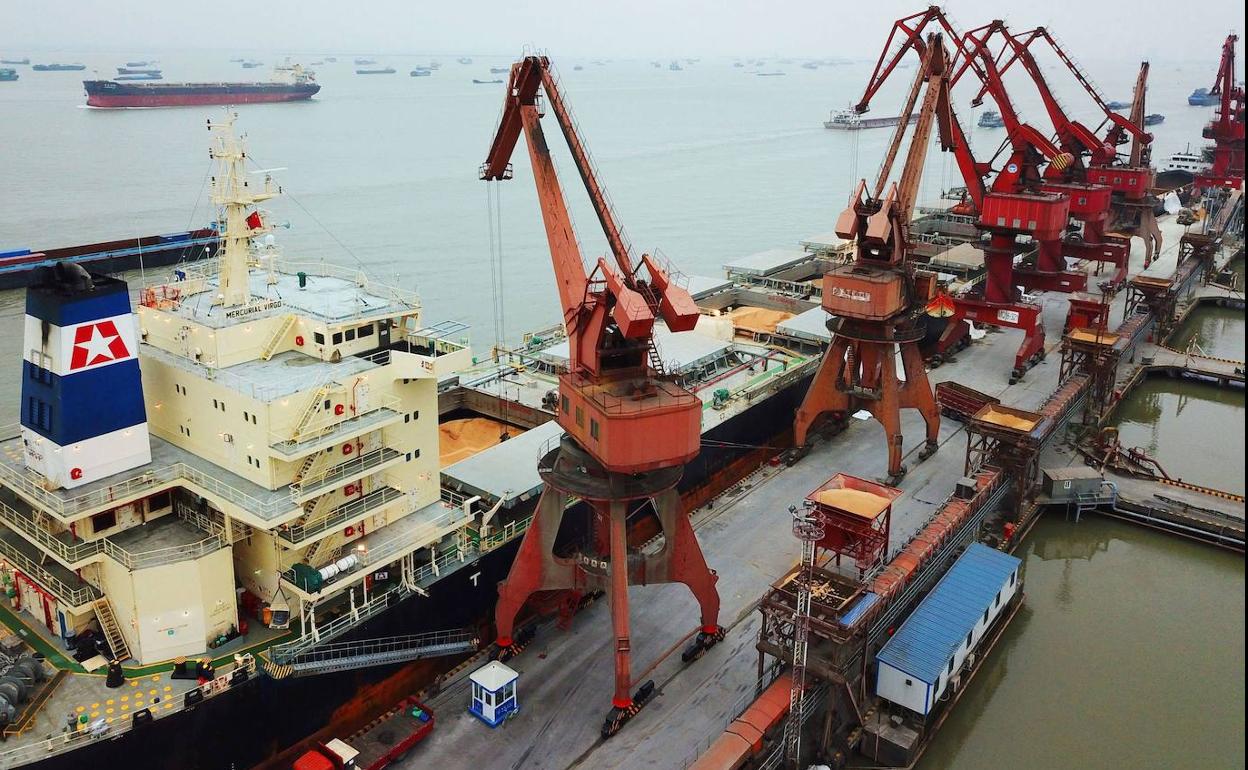 Descarga de soja importada en el puerto chino de Nantong, China.