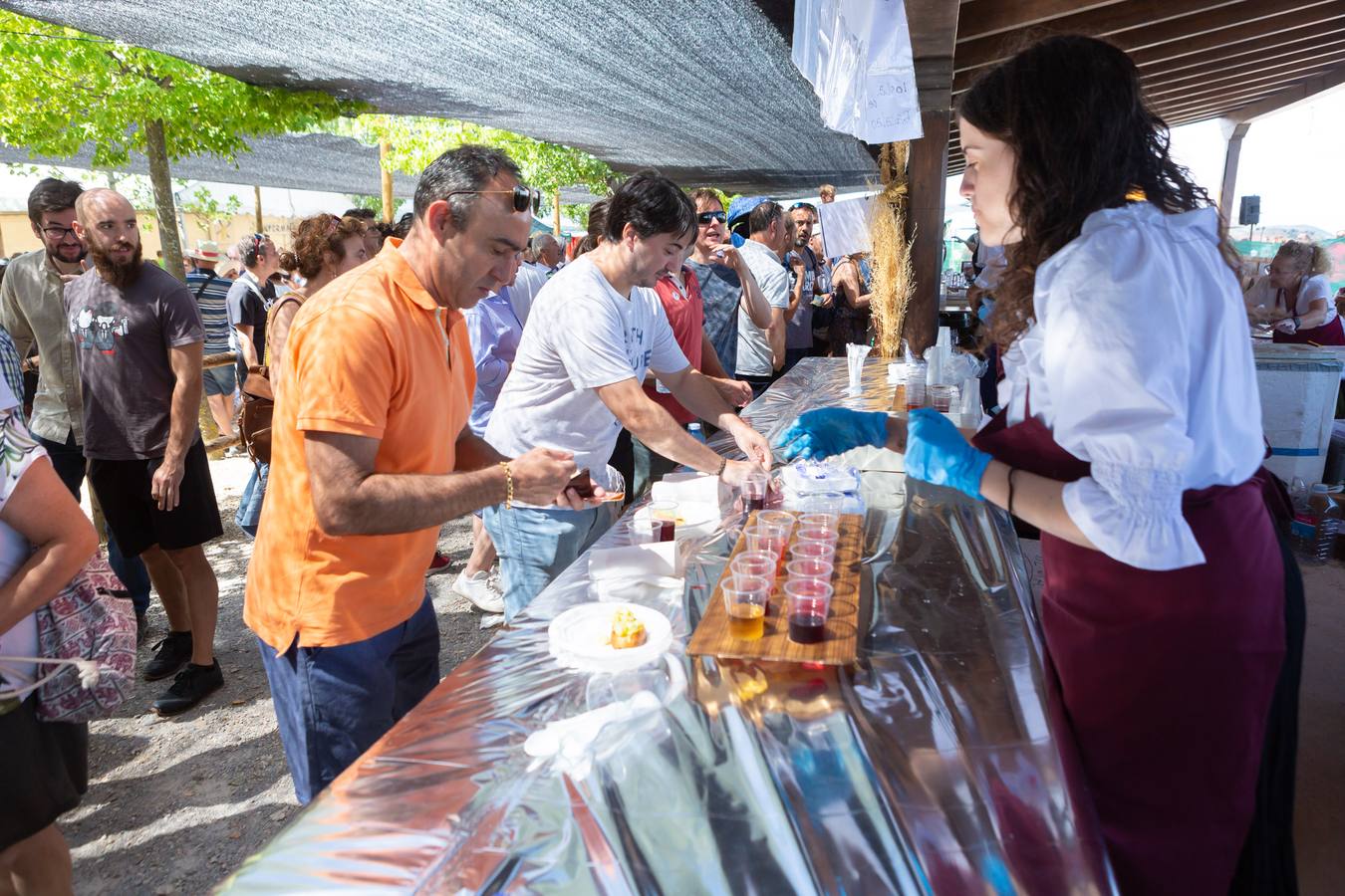 Fotos: Así ha sido la Fiesta de la Molienda