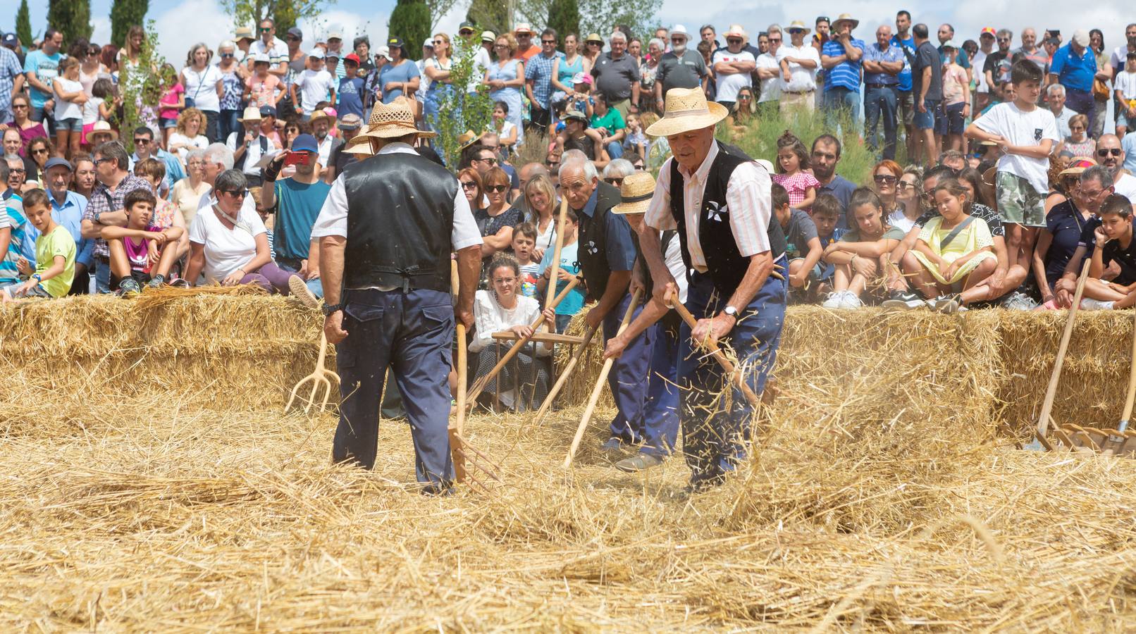 Fotos: Así ha sido la Fiesta de la Molienda