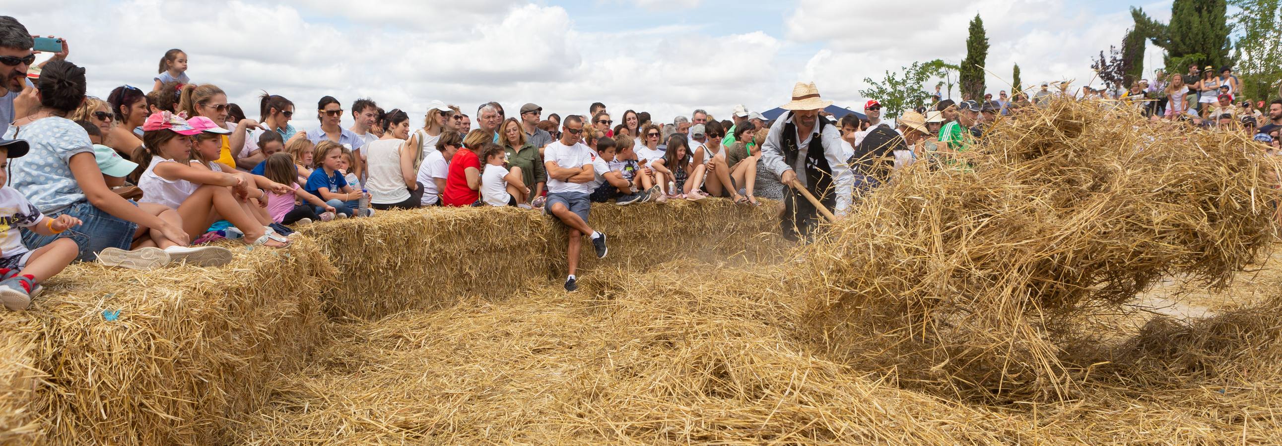 Fotos: Así ha sido la Fiesta de la Molienda