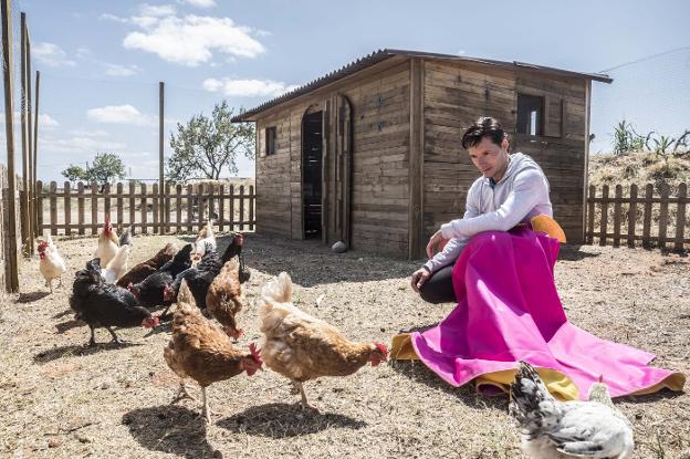 Urdiales -en su finca de Arnedo, con sus gallinas- regresa mañana a la plaza de Dax y después le esperan las ferias de San Sebastián, Almería o Bilbao en el momento de más compromisos del año.