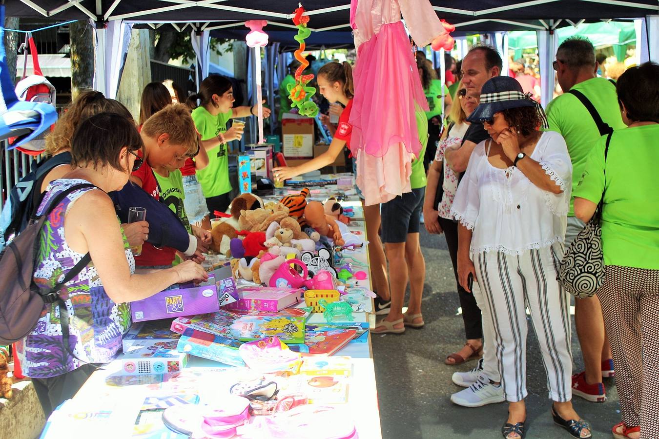 Fotos: XXIV Fiesta de la Solidaridad de Torrecilla en Cameros