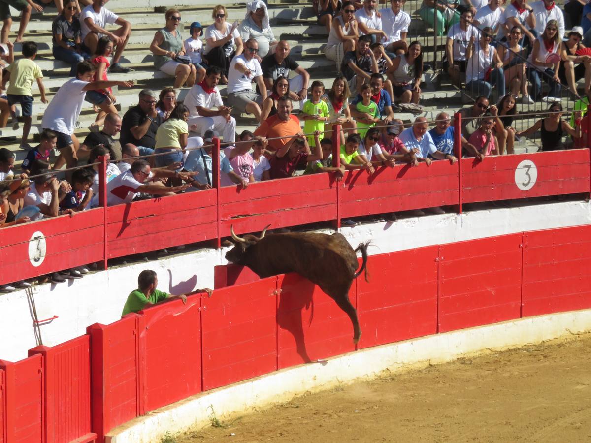 Fotos: Alfaro llega al ecuador de sus fiestas de San Roque y San Ezequiel