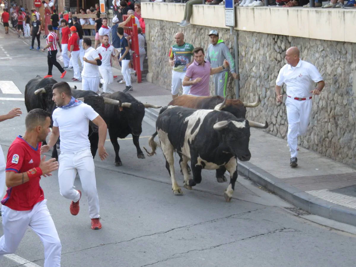 Fotos: Alfaro llega al ecuador de sus fiestas de San Roque y San Ezequiel